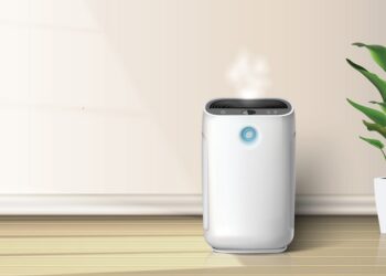 Top Air Purifiers for Allergies